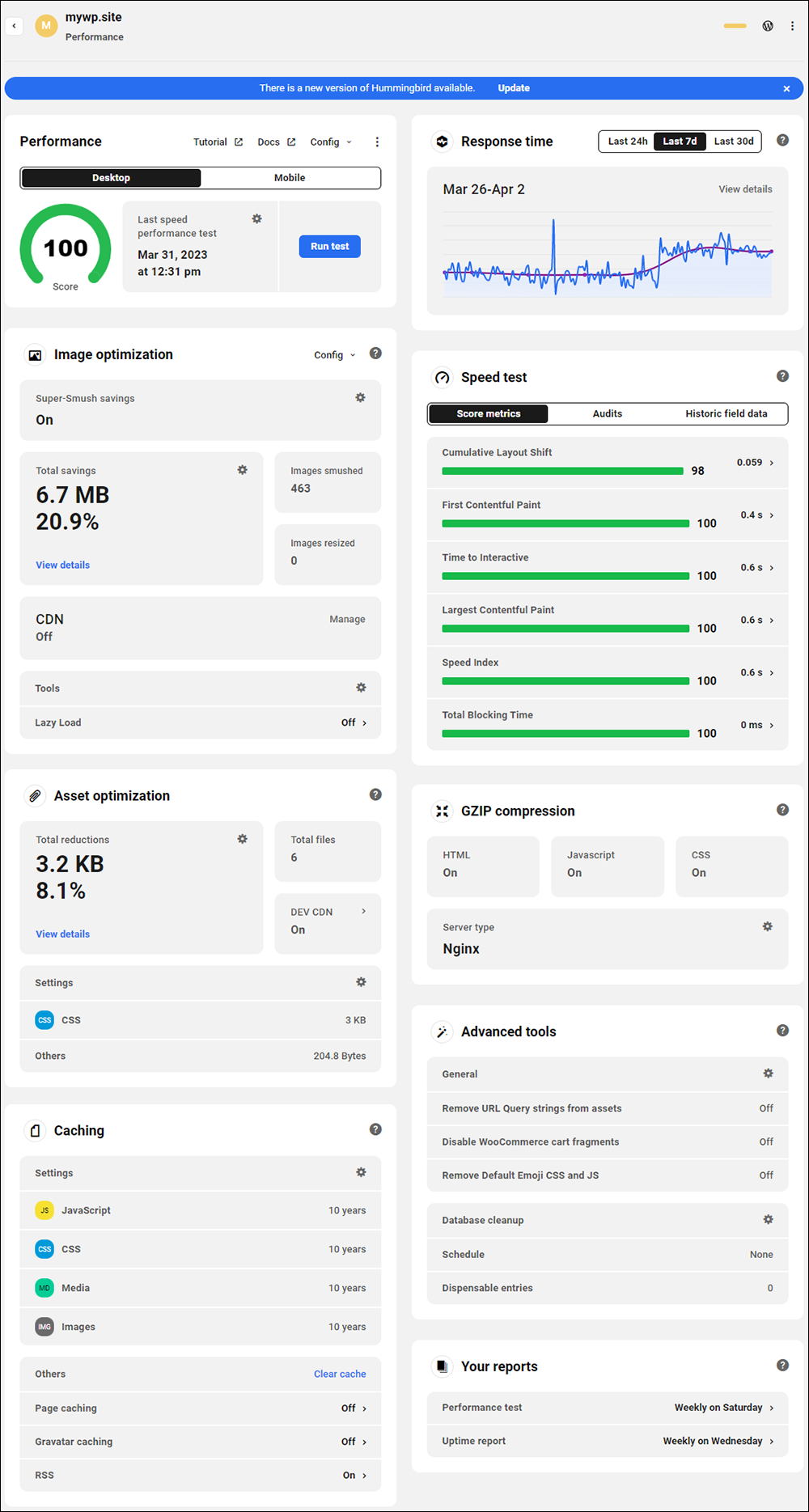 WPMU DEV: The Hub - Performance dashboard.