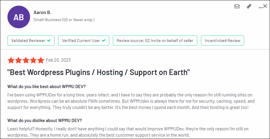 WPMU DEV User Review - G2.com